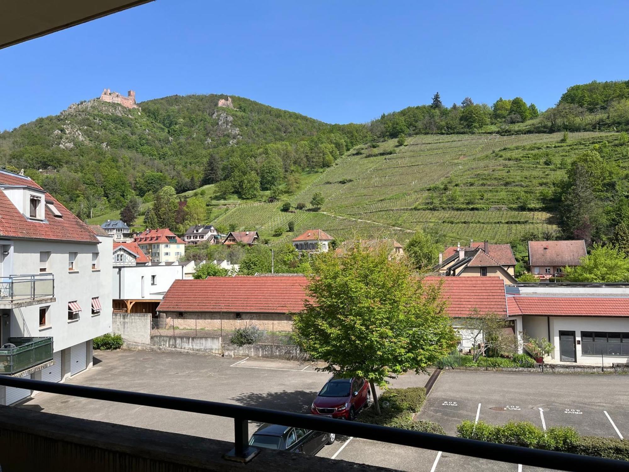 Appartamento L'Aiglon Ribeauvillé Esterno foto